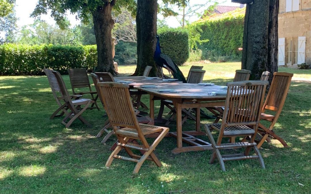 Se faire vomir après un repas : quels sont les risques ?